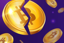 Mining Shares in Cryptocurrency: What They Are and Why They Matter