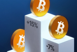 What Makes Bitcoin Valuable and What Influences Its Price