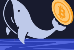 Understanding Crypto Whales and Their Market Influence