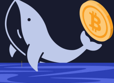 Understanding Crypto Whales and Their Market Influence