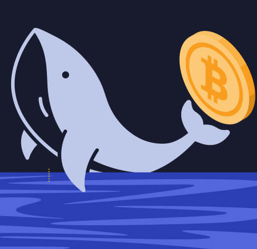 Understanding Crypto Whales and Their Market Influence