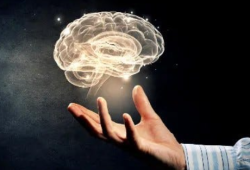 Harnessing Neuromarketing to Enhance Your Marketing Strategy
