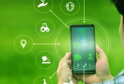 How Blockchain is Transforming the Agriculture Industry