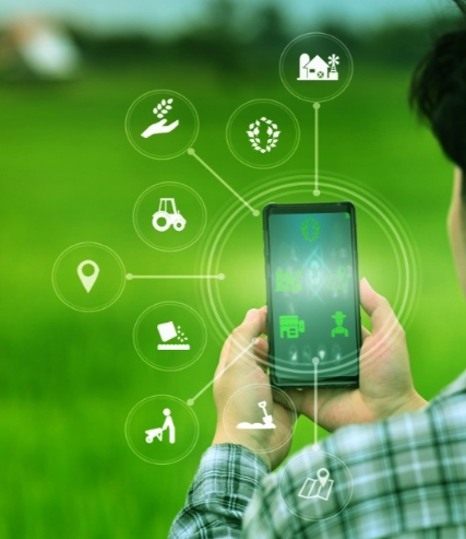 How Blockchain is Transforming the Agriculture Industry