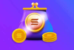 Solana Wallet Development: Creating Secure and Scalable Solutions